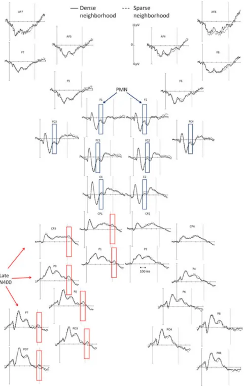 Fig. 2. Grand-average waveforms at various recordings sites for words residing in a sparse and in a dense neigh- neigh-borhood in a time window between )100 and 800 ms after the onset of auditory stimuli