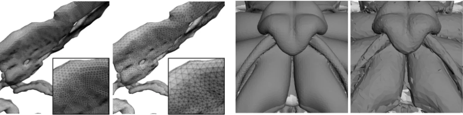 Fig. 8. Views of the mesh quality on the surface of the Rbl data set.