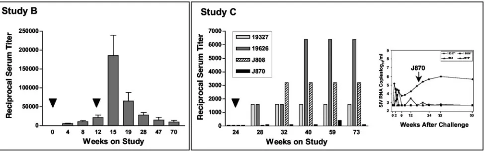 FIG. 5. AAV serum neutralizing antibodies in immunized macaques. Serum antibodies that neutralize AAV2 were measured before and aftervaccination for animals in studies B and C