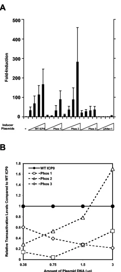 TABLE 2. Complementation of 7134 replication byICP0 Phos mutant plasmidsa