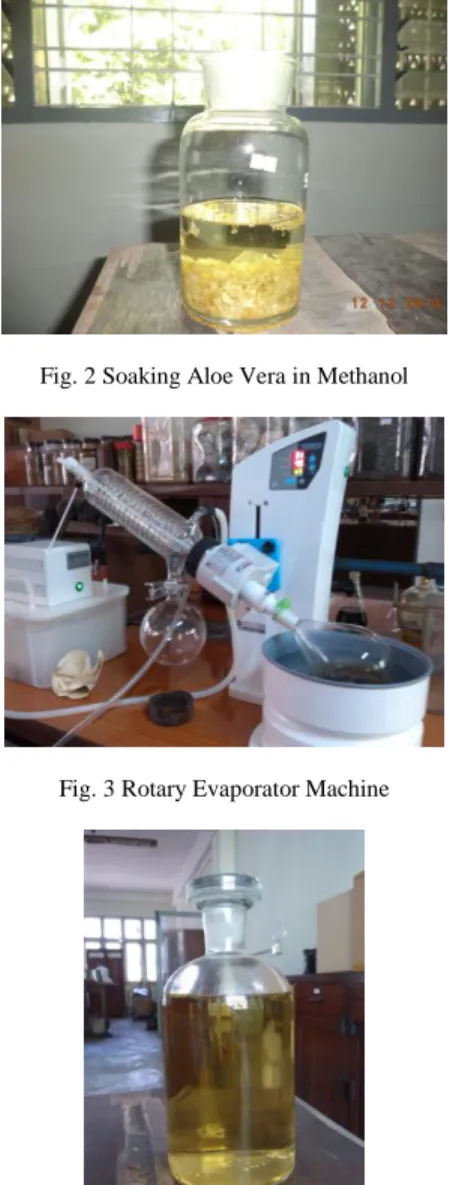 Fig. 1 Aloe Vera Gel 