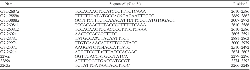 TABLE 1. Sequences of sense and antisense oligonucleotide primers used for synthesis of the site-directed mutants
