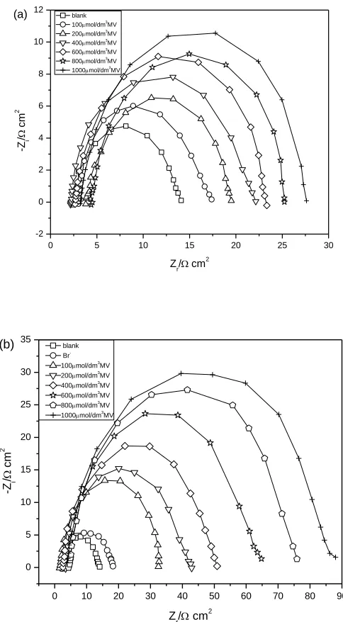 Figure 7.  Nyquist plots of mild steel containing different concentrations of MV in the absence (a) and  presence (b) 0.05 mol/dm3 Br- in 1.0 mol/dm3 H3PO4 at 25 oC