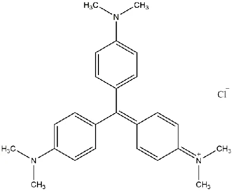 Figure 1.  Structure of MV. 