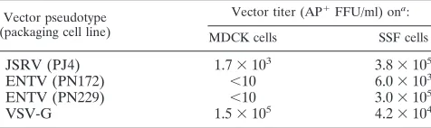 TABLE 2. RON expression has no effect on MDCK celltransformation by JSRV and ENTV Env proteinsa