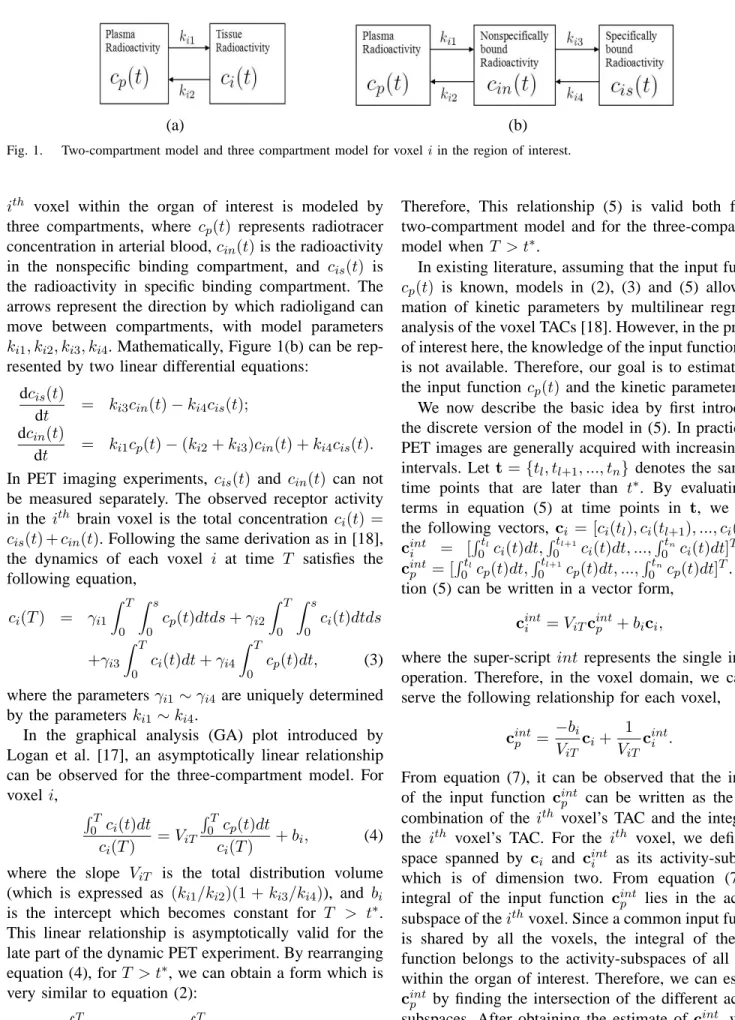Fig. 1. Two-compartment model and three compartment model for voxel i in the region of interest.