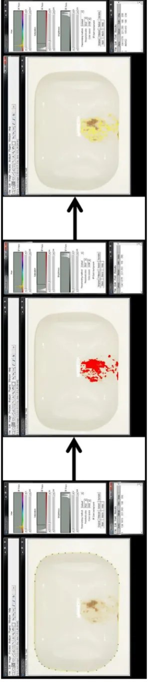 Fig. C.1. Using ImageJ Software to determine covered area in toilet bowl.