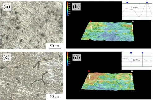 Figure 3. Galvanic corrosion morphology (a) and 3D version (b) of 2219 and galvanic corrosion morphology (c) and 3D version (d) of ZL205A aluminum alloy coupled with CFREC 