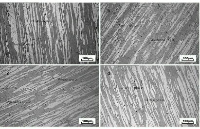 Figure 3 . Microstructure of DSS 2507 base metal and HAZ specimens after different thermal cycle