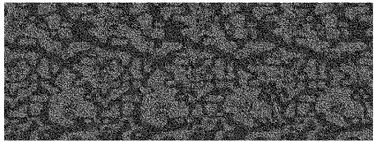 Fig.14. Share 1 