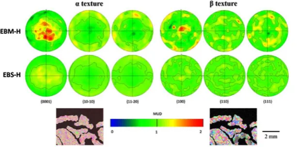 Figure 4. Grain orientation data regarding the beetle capsule. (a) Room temperature α phase grain orientation information collected by EBSD from the beetle sample; (b) Initially solidiied β microstructure reconstructed from, and at the same scale as, data 