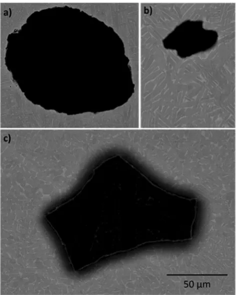 Figure 7. Macro hardness map of beetle sample. Here, the build direction (z) is normal to the plane of the page.