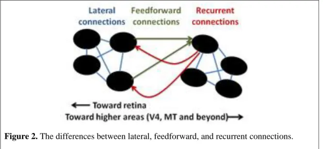 Figure 2. The differences between lateral, feedforward, and recurrent connections.