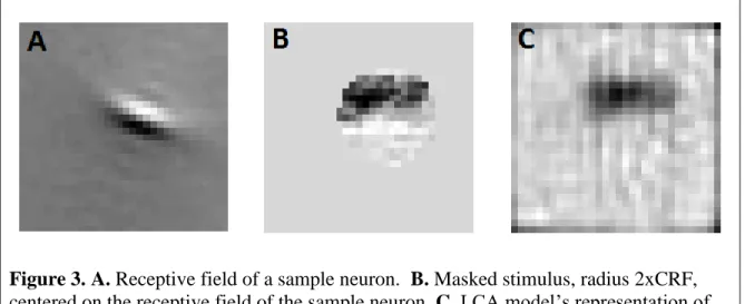 Figure 3. A. Receptive field of a sample neuron.  B. Masked stimulus, radius 2xCRF,  centered on the receptive field of the sample neuron