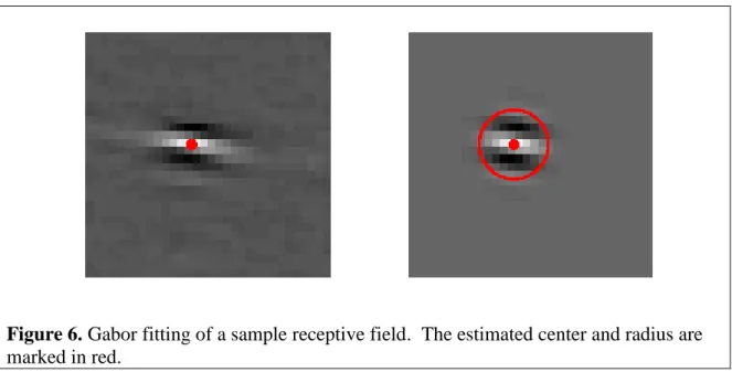 Figure 6. Gabor fitting of a sample receptive field.  The estimated center and radius are  marked in red