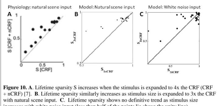 Figure 10. A. Lifetime sparsity S increases when the stimulus is expanded to 4x the CRF (CRF  + nCRF) [7]