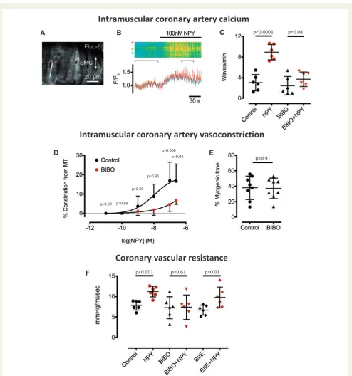 Figure 2 Microvascular coronary artery vasoconstriction with neuropeptide-Y. Neuropeptide-Y (100 nM,cular resistance in the Langendorff heart and this is prevented by the Yonist BIIE0246 (1(BIBO3304, 1Y (ange, and blue)