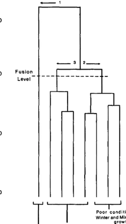 Fig. 2. An ecosystem experiencing mild impacts, e.g., light graxing and changing seasons, shifts about within its original domain