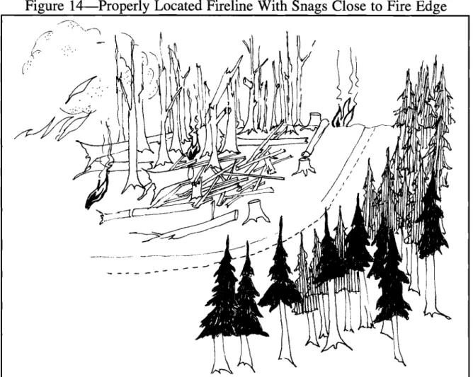 Figure  14-Properly Located Fireline  With  Snags  Close  to Fire  Edge 
