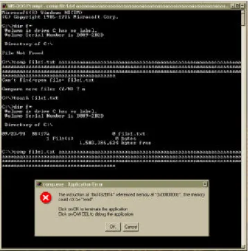 Figure 3:  Screen capture of a robustness failure discovered in the native Windows NT command line utility comp.