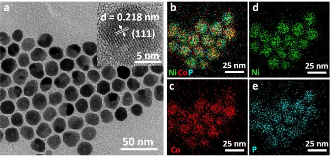Figure 1. (a) TEM image of NiCoP nanoparticles (inset: the corresponding magnified TEM image