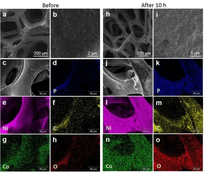 Figure 6.  SEM images before (a and b) and after 10 h chronoamperometry test (h and i), and the elemental mappings before (c-h) and after 10 h chronoamperometry test (j-o) of NiCoP-CNTs loaded on the Ni foam
