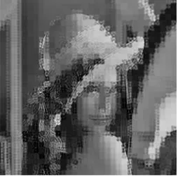 Fig. 10.The optimized ECA for the cipher-images corresponding to the two plain-images shown in Fig