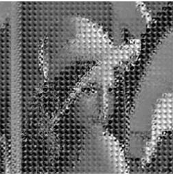 Fig. 12.The decryption results (when change key=0) corresponding to the plain-image “Lenna” with some mismatched keys by processingthe sub-matrix1, 8 and Columns 1, 8; e) reversing the order of all rows; f) reversing the order of all rows and the signs of all elements; g) reversing the Mv as follows: a) reversing the signs of all elements; b) swapping Rows 1, 8; c) swapping Columns 1, 8; d) swapping Rowsorder of all columns; h) reversing the order of all rows and that of all columns.
