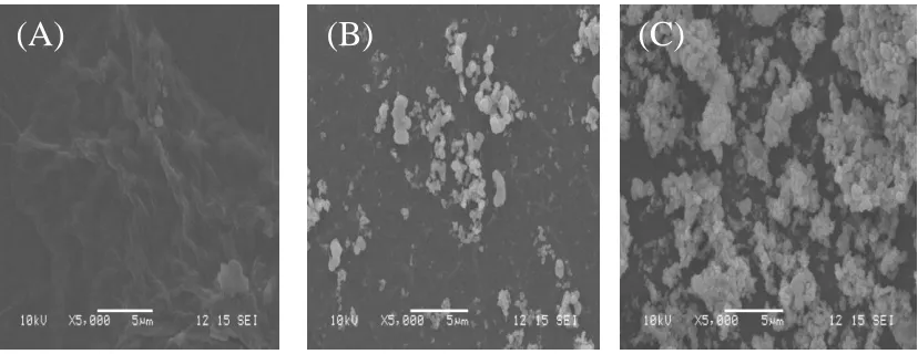 Figure 2. SEM images of the electrode surfaces for GO/GCE (A), TiOTiO2/GO/GCE (C). 