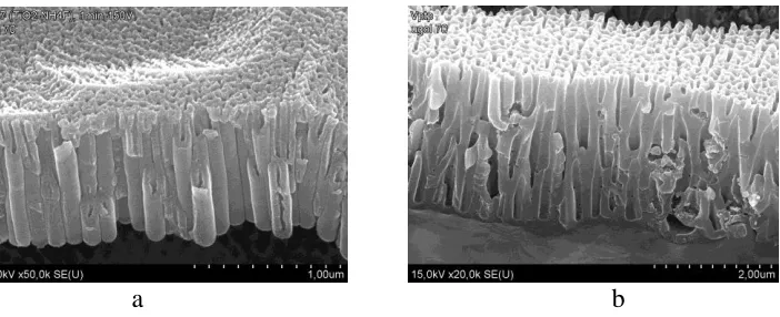 Figure 1. Cross section micrographs of titanium (a) and aluminum (b) oxide nanostructures