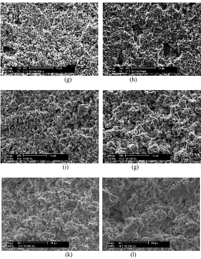 Figure 7.  Morphologies of tested steel after cavitation erosion for different duration (a) (e) (i) uncharged specimen in distilled water  (b) (f) (g) uncharged specimen in 3.5% NaCl  (c) (j) (k) 50mA·cm-2 charge in distilled water     (d) (h) (l) 50mA·cm-2 charge in 3.5% NaCl  (a)―(d) 20min  (e) ―(h) 60min   (i) ―(l) 120min     