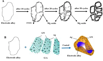 Figure 7.  A: Schematic model of disintegration and surface oxidation for Mg-based electrode alloys during charge/discharge cycling and B: The schematic diagrams of Surface modification for Mg-based electrode alloy with G/A 