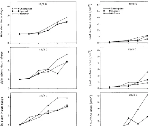 Fig. 1. Main stem Haun stage (SD = 0.16) and leaf surface area (SD = 0.64) for cheatgrass, Hycrest, and Whitmar as a function of days after emergence at 3 temperatures