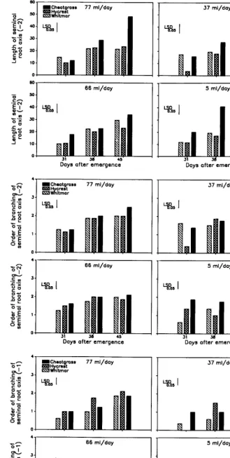 Fig. 2. Seedling root characteristics for cheatgrass, Hycrest, and Whitmar in relation to days after seedling emergence at 4 water application rates (77,66, 37, and 5 ml/day)