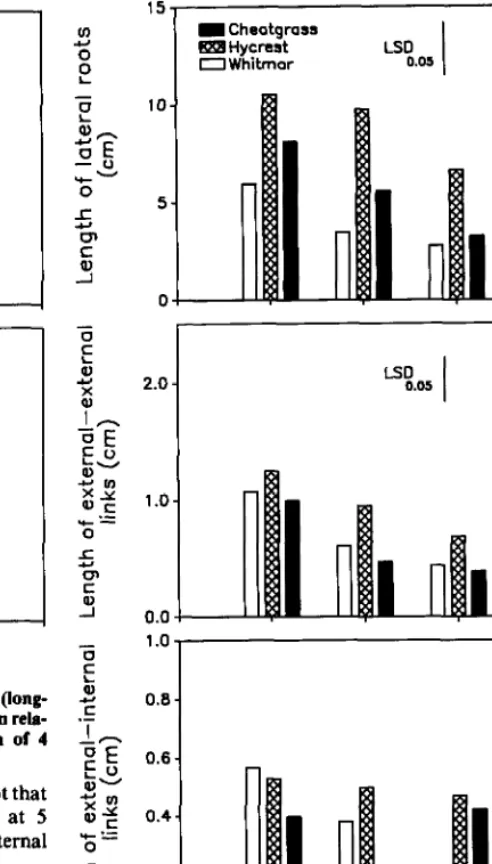 Fig. 4. Length of lateral roots, length of external-external links, and length of external-internal links for roots of cheatgrass, Hycrest, and Whitmar in relation to 4 water application rates (5,37,66, and 77 ml/day) at 45 days