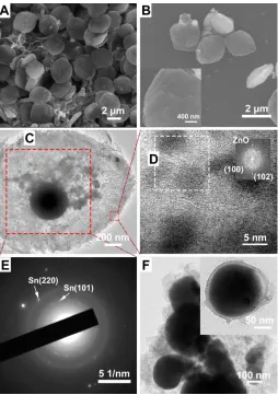 Figure 2. (A) SEM images at different magnifications; (B) XRD pattern; (C) Raman spectrum and (D) N2 adsorption/desorption isotherm and pore size distribution of SnO2