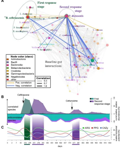 Figure 4 Microbial responses to antibiotics are relected in their co-occurrences. (A) Patient-speciic (subject HD.S1) species association network for 24 time points