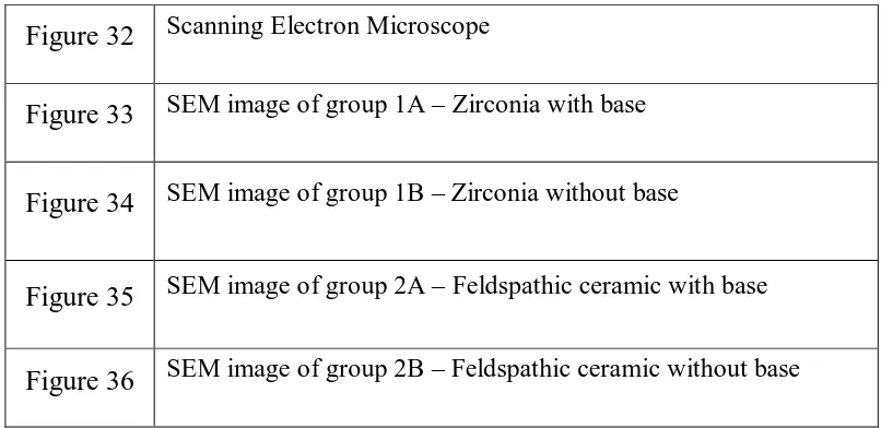 Figure 32 Scanning Electron Microscope Figure 33 SEM image of group 1A – Zirconia with base 