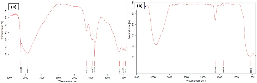 Figure 4.  IR spectra of (a) the electrodeposited nickel hydroxide precursor and (b) heat-treated nickel oxide product