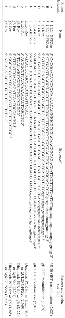 TABLE 1. Synthetic oligonucleotide primers