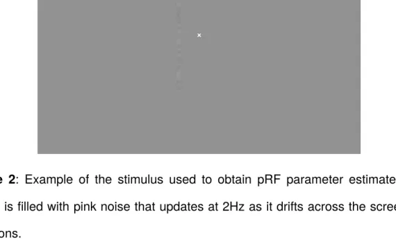 Figure 4:  Visual representation of temporal contrast stimulus conditions. The sine grating can be presented at 20 temporal contrast conditions.