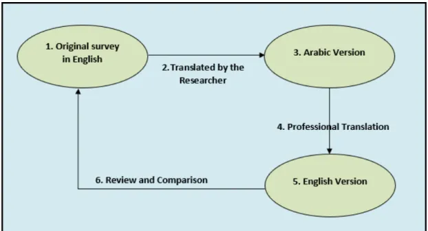 Figure 3-6 Back Translation Process 