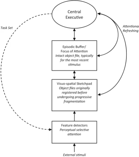 Fig. 9 Diagram showing the principal components of visual workingmemory and their functions