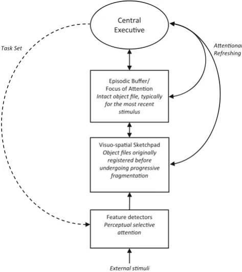 Fig. 9 Diagram showing the principal components of visual workingmemory and their functions