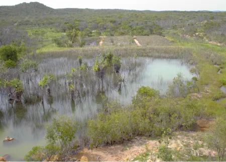 Figure 5: Wetland at the Horn Island gold mine, Australia. The wetland has failed because an adjacent damwall was constructed using acid generating waste rocks (foreground), which resulted in significant ARD and caused plant death