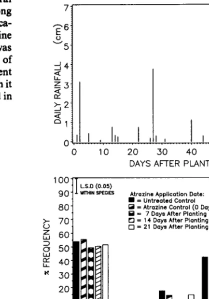 Fig. 3. Rainfall (1986A) and the effect of atrazine application date on the percent frequency (1986B) wlthin big bluestem (BB), indiangrass (IN), 