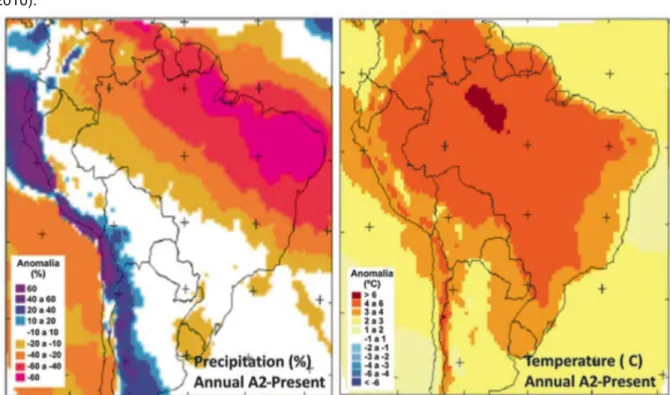 Figure	   2:	   projected	   patterns	   of	   rainfall	   change	   (%)	   and	   air	   temperature	   over	   South	   America	   for	   the	   A2	   	  
