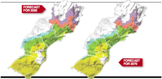 Figure	  7:	  optimistic	  outlook	  scenario	  for	  coffee	  cultivation	  according	  to	  Pint,	  Assad,	  2008	   	  