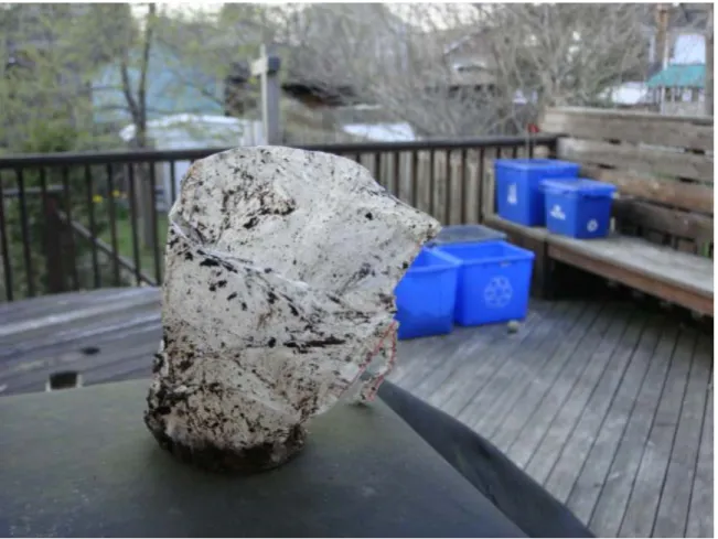 Figure 1: An industry standard ʻpoly linedʼ paper cup retrieved from over a year in a  residential compost