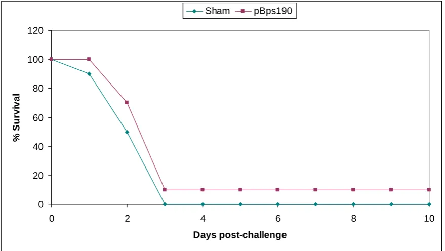 Figure 3:  Survival of mice following challenge with live B. pseudomallei NCTC 13179. Ten mice immunised with either the pBps190 or pcDNA3.1start alone (sham) received 2xLD50 IP of live B